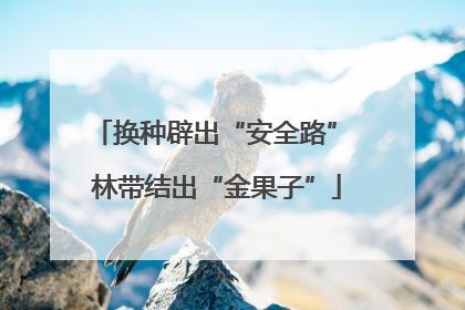 换种辟出“安全路” 林带结出“金果子”
