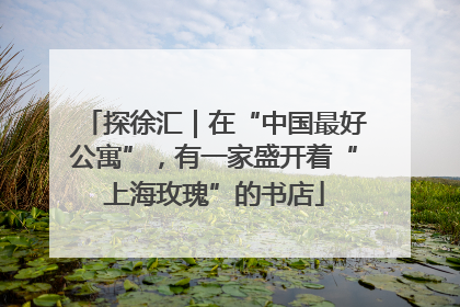 探徐汇｜在“中国最好公寓”，有一家盛开着“上海玫瑰”的书店