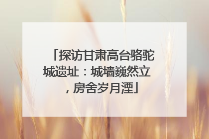 探访甘肃高台骆驼城遗址：城墙巍然立，房舍岁月湮