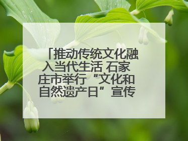 推动传统文化融入当代生活 石家庄市举行“文化和自然遗产日”宣传展示活动