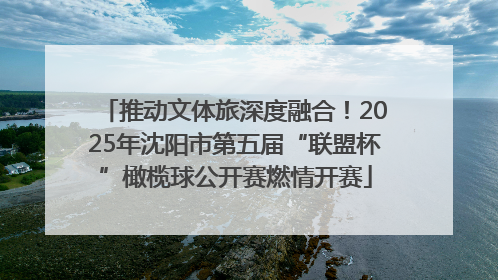 推动文体旅深度融合！2025年沈阳市第五届“联盟杯”橄榄球公开赛燃情开赛