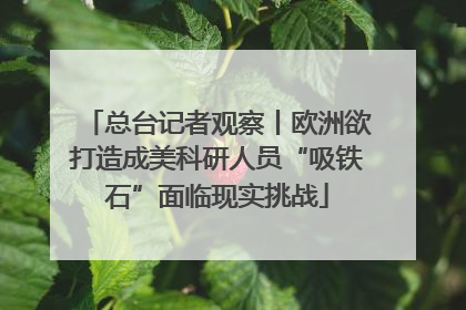 总台记者观察丨欧洲欲打造成美科研人员“吸铁石”面临现实挑战