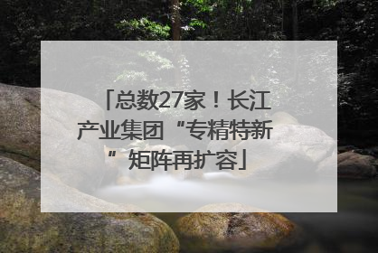 总数27家！长江产业集团“专精特新”矩阵再扩容