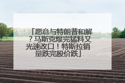 愿意与特朗普和解？马斯克爆完猛料又光速改口！特斯拉销量跌完股价跌