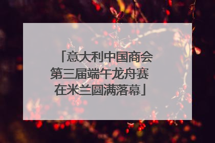 意大利中国商会第三届端午龙舟赛在米兰圆满落幕