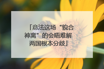 意法这场“貌合神离”的会晤难解两国根本分歧
