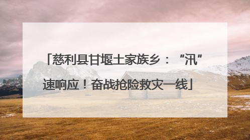 慈利县甘堰土家族乡：“汛”速响应！奋战抢险救灾一线
