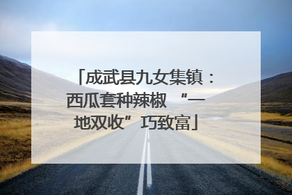 成武县九女集镇：西瓜套种辣椒 “一地双收”巧致富