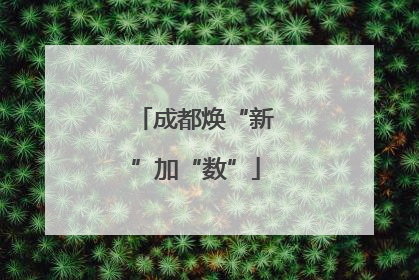 成都焕“新”加“数”