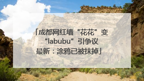 成都网红墙“花花”变“labubu”引争议 最新：涂鸦已被抹掉