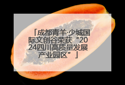 成都青羊·少城国际文创谷荣获“2024四川高质量发展产业园区”