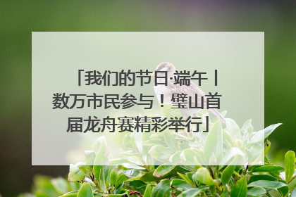 我们的节日·端午丨数万市民参与！璧山首届龙舟赛精彩举行