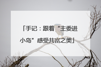 手记：跟着“主委进小岛”感受共富之美
