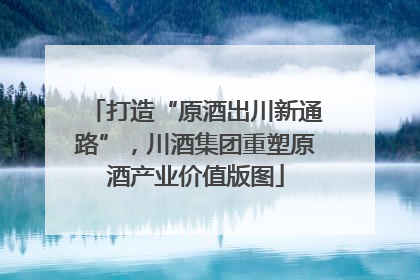 打造“原酒出川新通路”，川酒集团重塑原酒产业价值版图