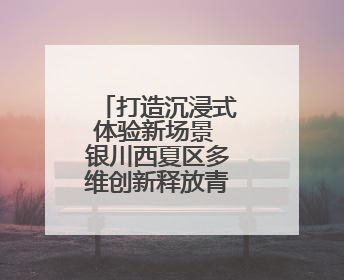 打造沉浸式体验新场景 银川西夏区多维创新释放青年消费潜力