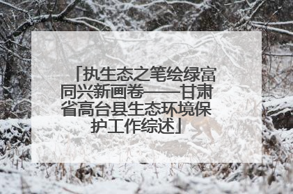 执生态之笔绘绿富同兴新画卷——甘肃省高台县生态环境保护工作综述