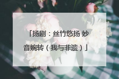 扬剧：丝竹悠扬 妙音婉转（我与非遗）