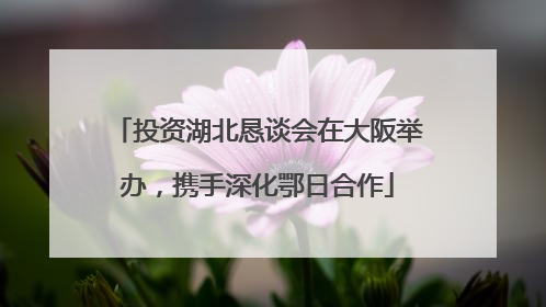 投资湖北恳谈会在大阪举办，携手深化鄂日合作