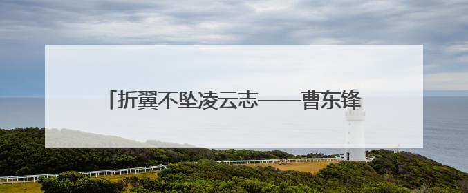 折翼不坠凌云志——曹东锋以创业热忱铺就助残之路