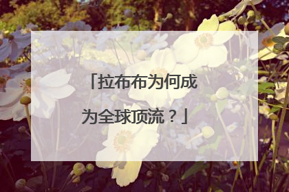 拉布布为何成为全球顶流？