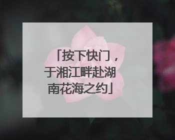 按下快门，于湘江畔赴湖南花海之约