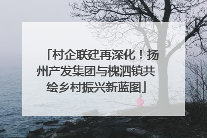 村企联建再深化！扬州产发集团与槐泗镇共绘乡村振兴新蓝图
