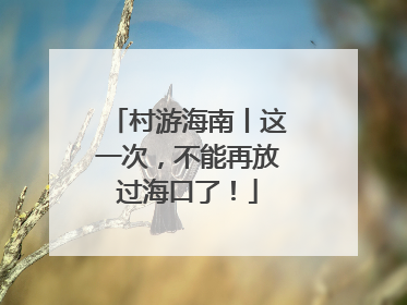 村游海南丨这一次，不能再放过海口了！