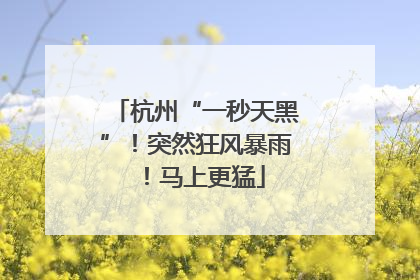 杭州“一秒天黑”！突然狂风暴雨！马上更猛