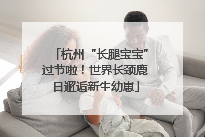 杭州“长腿宝宝”过节啦！世界长颈鹿日邂逅新生幼崽