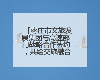 枣庄市文旅发展集团与高速部门战略合作签约，共绘交旅融合新蓝图