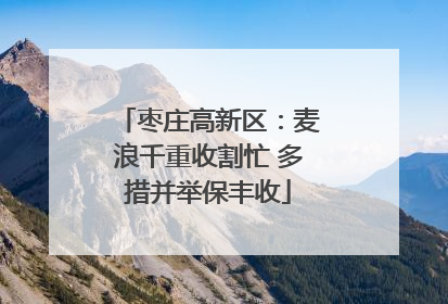 枣庄高新区：麦浪千重收割忙 多措并举保丰收