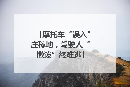 摩托车“误入”庄稼地，驾驶人“撒泼”终难逃