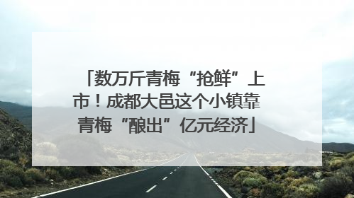 数万斤青梅“抢鲜”上市！成都大邑这个小镇靠青梅“酿出”亿元经济
