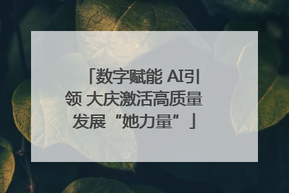 数字赋能 AI引领 大庆激活高质量发展“她力量”