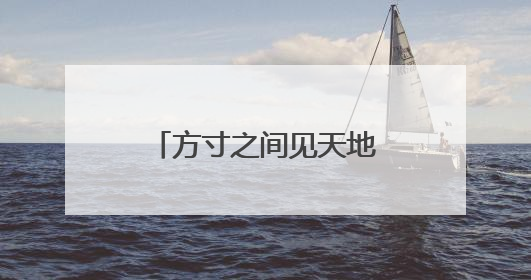 方寸之间见天地：从特区试验田到提振消费引擎