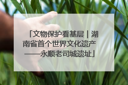 文物保护看基层｜湖南省首个世界文化遗产——永顺老司城遗址