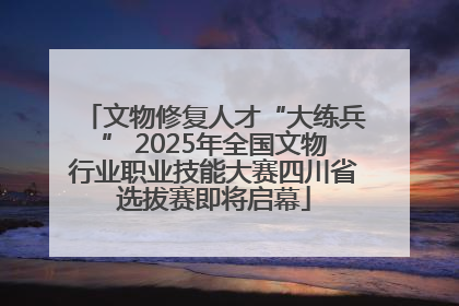 文物修复人才“大练兵” 2025年全国文物行业职业技能大赛四川省选拔赛即将启幕