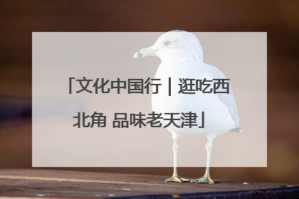 文化中国行｜逛吃西北角 品味老天津