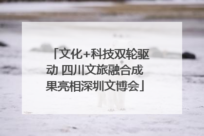 文化+科技双轮驱动 四川文旅融合成果亮相深圳文博会
