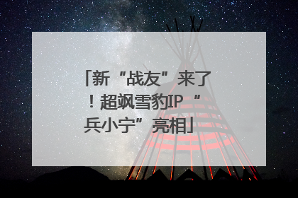 新“战友”来了！超飒雪豹IP“兵小宁”亮相
