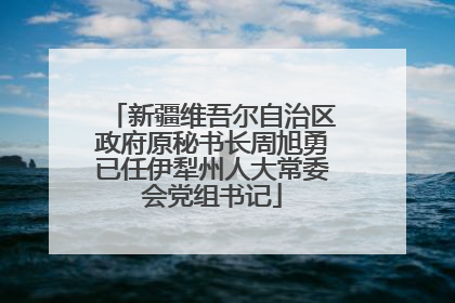 新疆维吾尔自治区政府原秘书长周旭勇已任伊犁州人大常委会党组书记