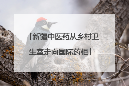 新疆中医药从乡村卫生室走向国际药柜