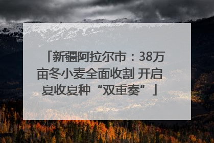 新疆阿拉尔市：38万亩冬小麦全面收割 开启夏收夏种“双重奏”