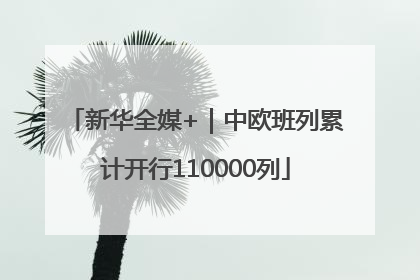 新华全媒+｜中欧班列累计开行110000列