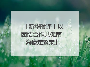 新华时评丨以团结合作共促南海稳定繁荣