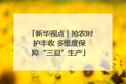 新华视点｜抢农时 护丰收 多维度保障“三夏”生产