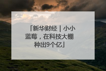新华财经｜小小蓝莓，在科技大棚种出9个亿