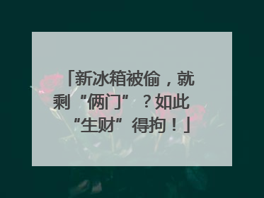 新冰箱被偷，就剩“俩门”？如此“生财”得拘！