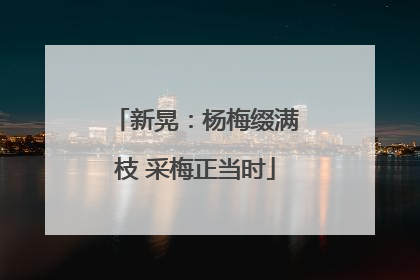 新晃：杨梅缀满枝 采梅正当时