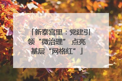 新泰宫里：党建引领“微治理” 点亮基层“网格红”
